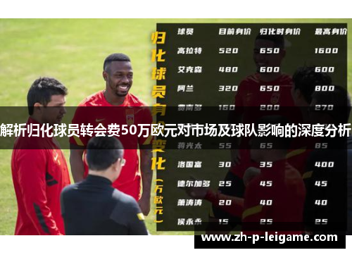 解析归化球员转会费50万欧元对市场及球队影响的深度分析 解析归化球员转会费50万欧元对市场及球队影响的深度分析