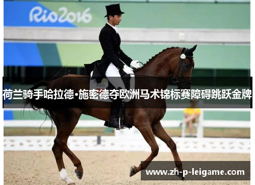 荷兰骑手哈拉德·施密德夺欧洲马术锦标赛障碍跳跃金牌 荷兰骑手哈拉德·施密德夺欧洲马术锦标赛障碍跳跃金牌
