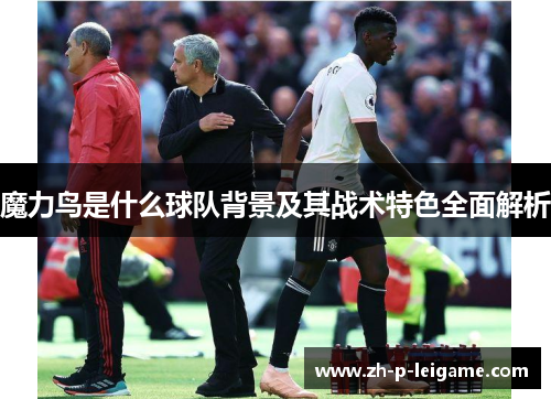 魔力鸟是什么球队背景及其战术特色全面解析